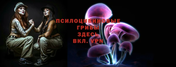прущая мука Снежинск